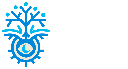 Royaa-vision