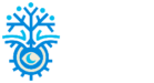 Royaa-vision